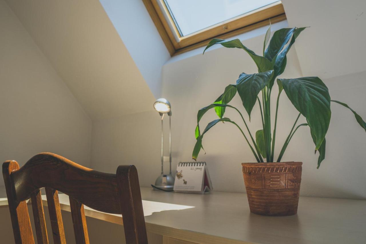 Apartment Amak With Free Onsite Parking Bovec Extérieur photo